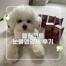 강아지 빨간 눈물이 고민이라면?! 눈물 영양제 클린코트 내돈내산 급여후기
