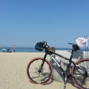 피자 알볼로 양구점 이미지