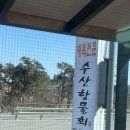 맛집, 양양 째복 맛집 수산항물회 내돈내산 후기 추천 n년째 방문