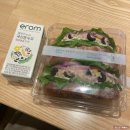 (주)브라운에프엔비 농심안양점 | 24년 2월 맛도리 모음. zip