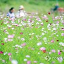 향기가득 이미지