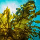 아이사랑약국 이미지