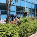 홍제1동 자치회관 이미지