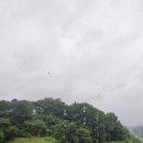 후니 실내낚시터 이미지