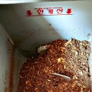 엘세븐바이오 네이버블로그