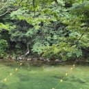 송화 펜션 | 충북 괴산 쌍곡계곡 송화펜션 평상대여 후기 취사가능한 평상에서 당일치기로 계곡 물놀이 하기