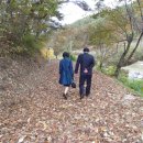 양덕동259 이미지