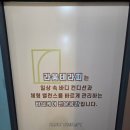 테라피흐름