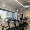 임스타핏 이미지