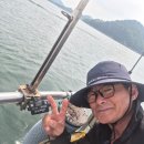 쭈꾸 세자릿수 달성 이미지