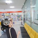 비손약국 이미지