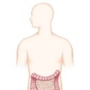 튼튼기쁨한의원 이미지