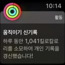 화덕이야기