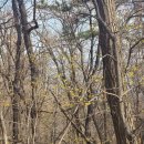 황금산PC방 이미지