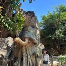 킹콩비어 이미지