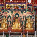 머루와 다래 이미지