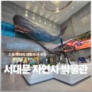 서대문자연사박물관 | 자녀와 가기 좋은 곳, 서울 실내 아이와 가볼만한 곳, 초등 자녀와 가기좋은 서대문 자연사 박물관 후기