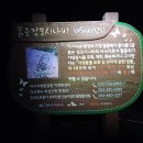 산내리2농로 | 보현지맥 7구간(졸업)[ 돌고개-위천합수점.32Km]4월22일