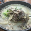 무궁화식당 이미지