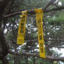 흥산1리 이미지