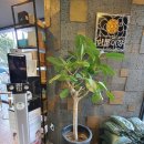 월영동165 | 경남대미용실 이룸미장 두피와 모발을 동시에 케어하는 사이꼬클리닉