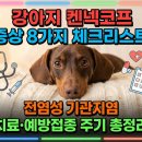 대한켄넬 | 강아지 켄넬코프 증상 8가지 체크리스트 | 전염성 기관지염 치료·예방접종 주기 총정리