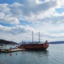 자산공원(빠삐용관) | 여수 아이와 가볼만한 곳 무료입장 가능한 자산공원 곤충박물관