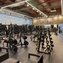 피트니스 마주 이미지