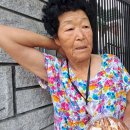 세진베이커리 이미지