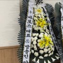 안선영 카카오 검색결과