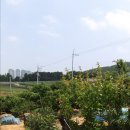 길원농장 이미지