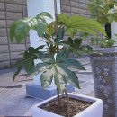 향암미술관 이미지