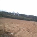 해덕농장 이미지