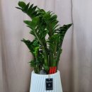 명주헤어 이미지