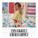 광교 갤러리아 근처 대형 키즈카페 모모와친구들 키즈파크