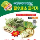 열무마켓 이미지