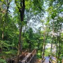 우면산6-9 이미지