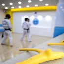 브레인박사태권도 네이버블로그
