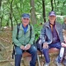 우면산5-9 이미지