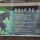 매화담흑염소 이미지