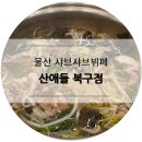 산애들