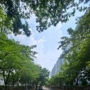 벽산할인마트 이미지