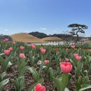 (주)호길