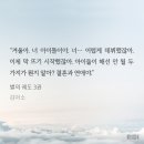 결우 이미지