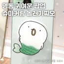 슈마커랑 놀러가찌오! 명동 속 귀여운 팝업: 슈마커 x 찌오 콜라보 정보 및 후기