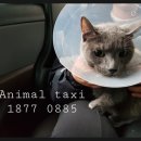 CU관악중앙점 이미지