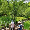 광릉수목원 이미지