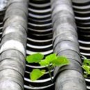 푸르고플래닛 이미지