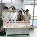 홍천군청 이미지