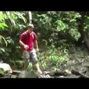 [VOA 영어뉴스] Conservationists Trying to Save, Reproduce Endangered Frogs 이미지